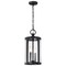 Nuvo Broadstone - 2 Light Hanging Lantern - Matte Black with Clear Seeded Glass 60/8115 - alternate 8